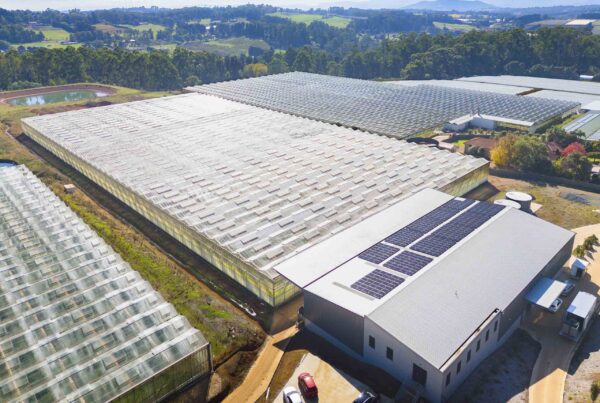 Burleigh Flowers’ glasshouse facility