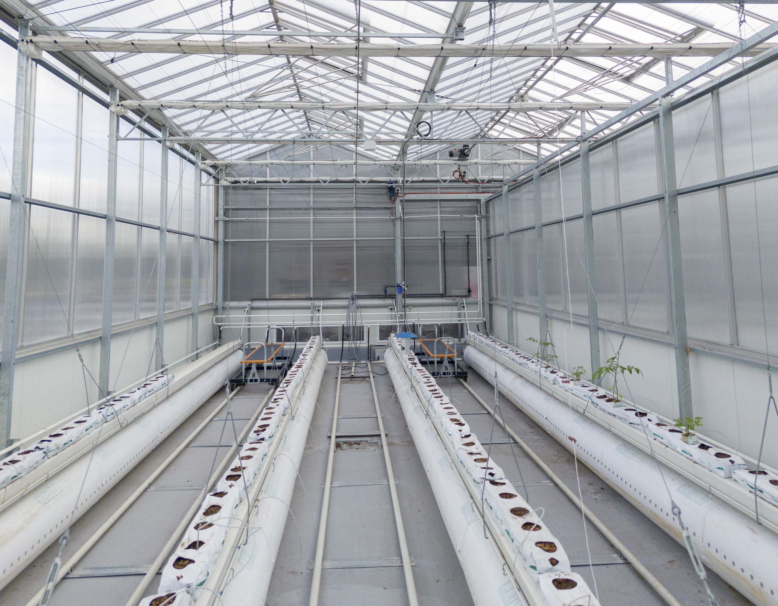 Melbourne Polytechnic’s training facility - Apex Greenhouses