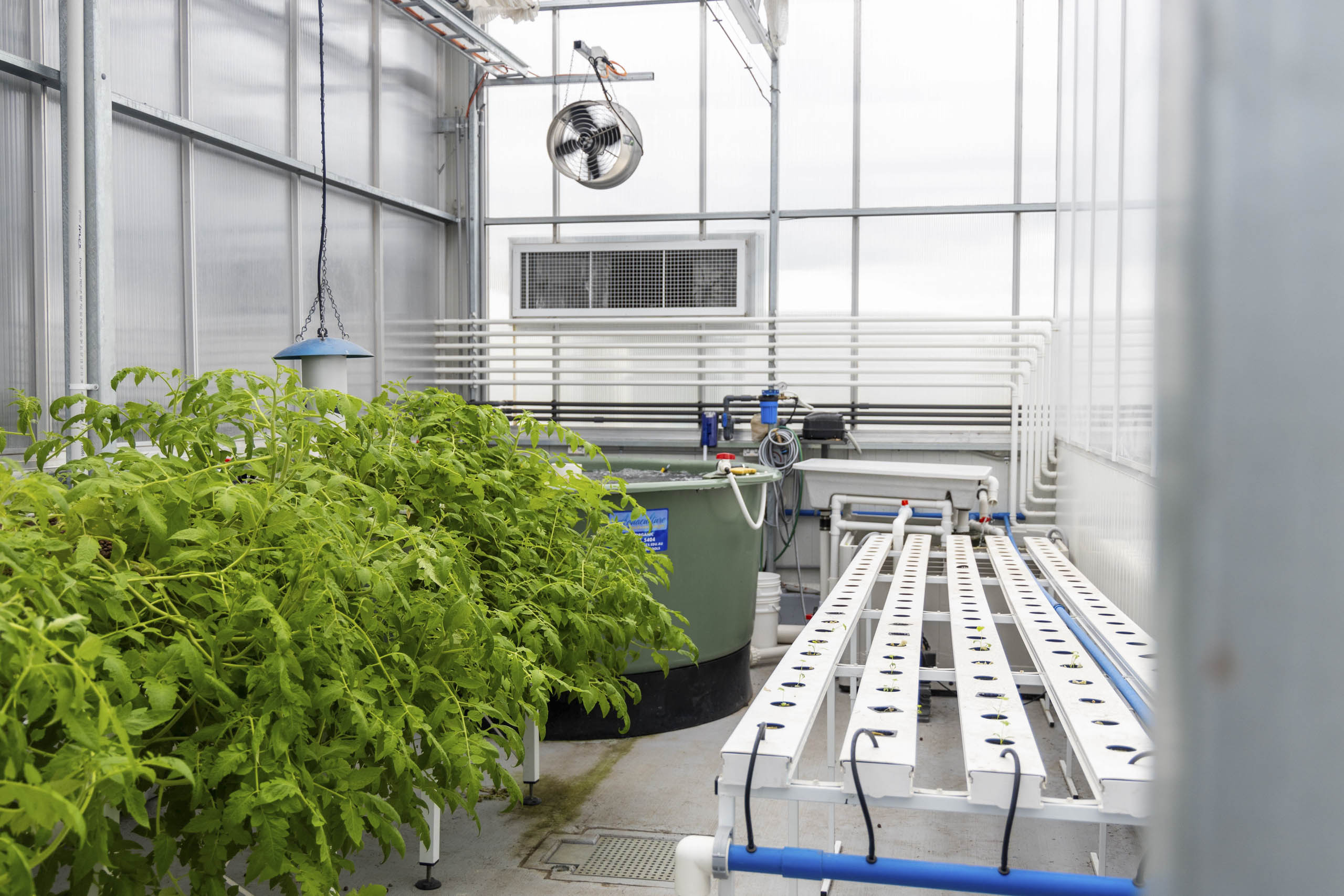 Melbourne Polytechnic’s training facility - Apex Greenhouses