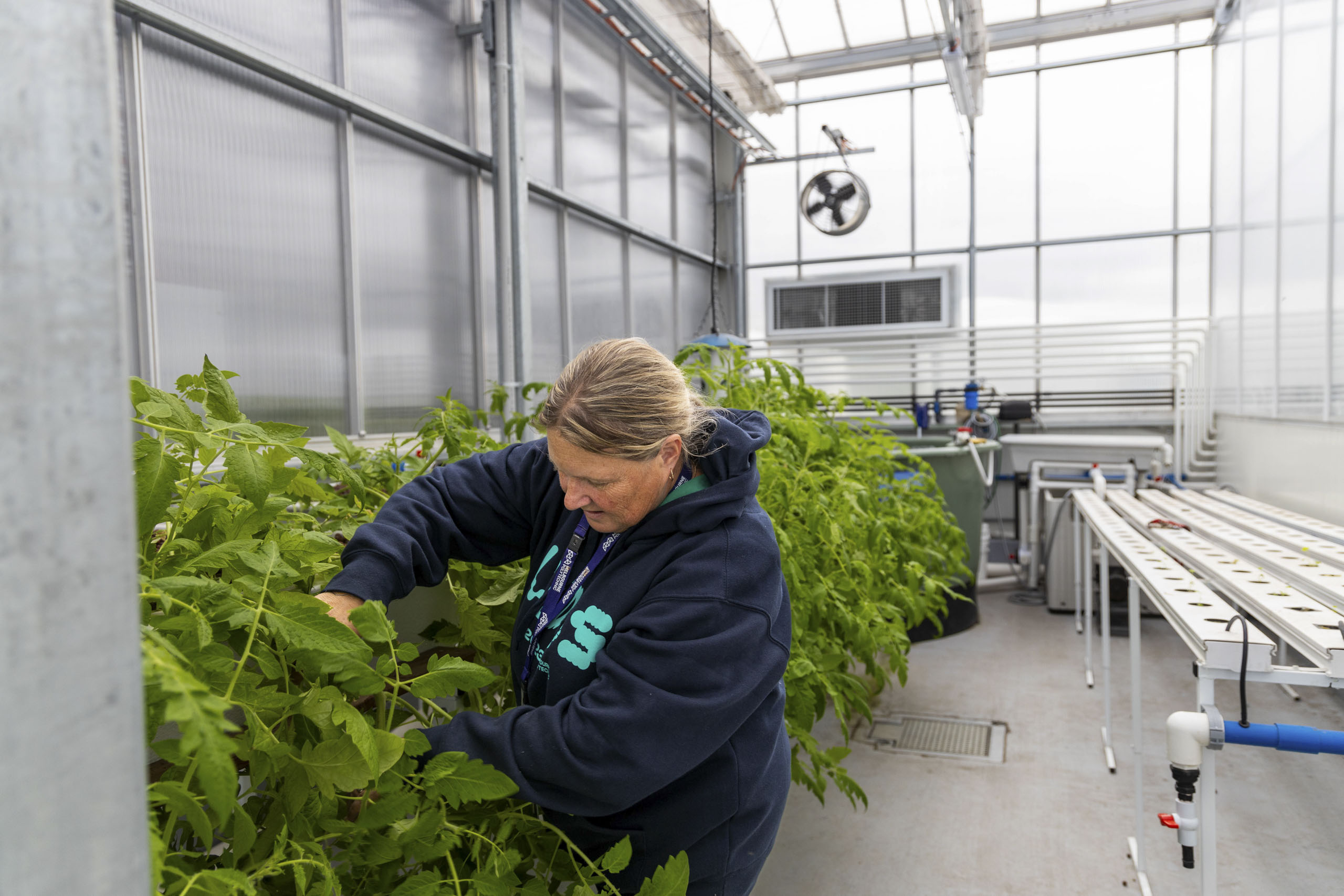 Melbourne Polytechnic’s training facility - Apex Greenhouses