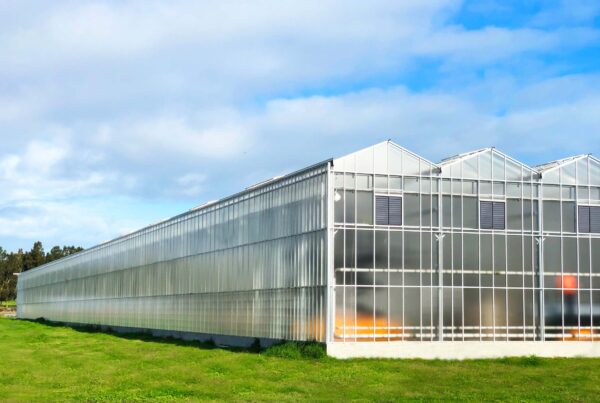 Superb Herb Company’s high-tech greenhouse