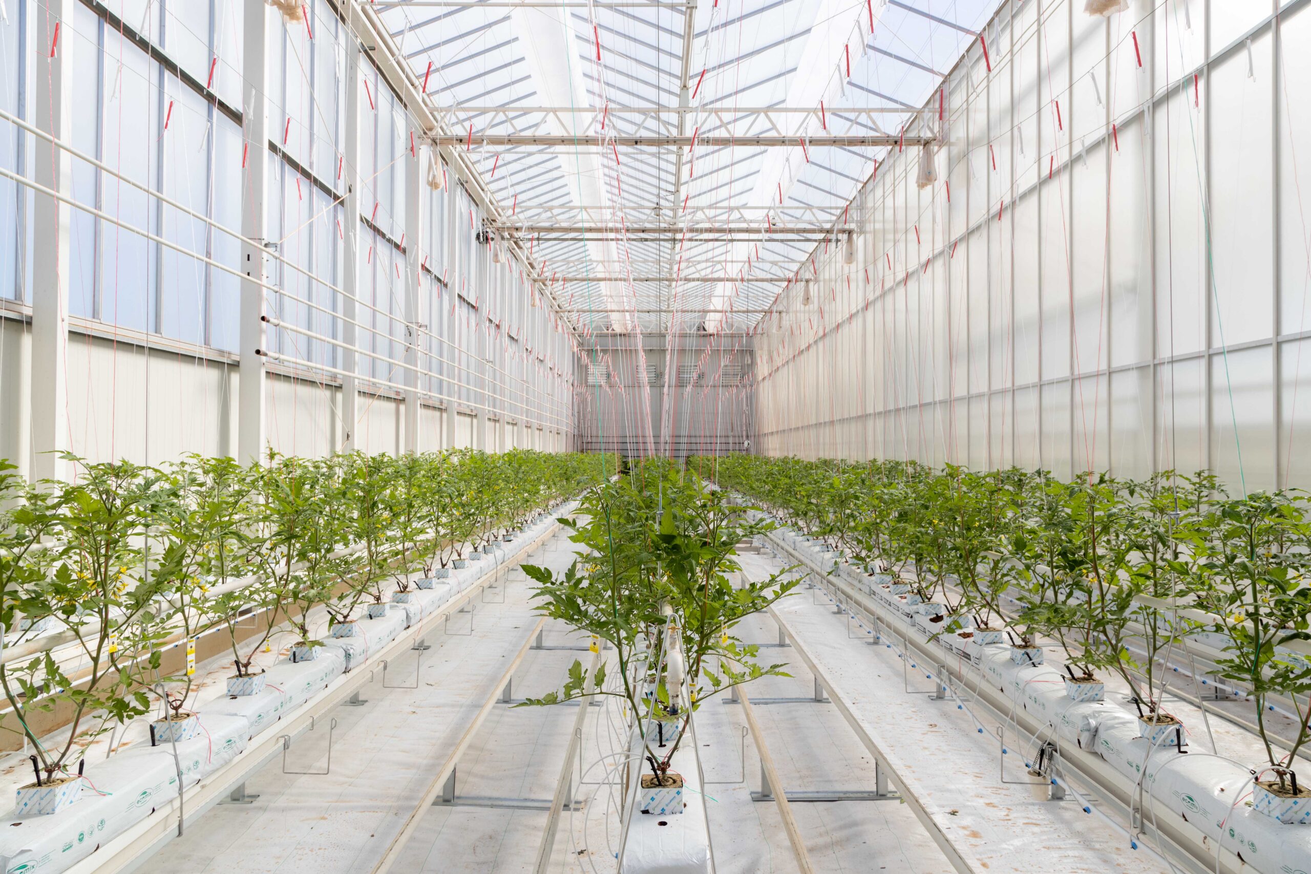 apex-greenhouses-research-facility