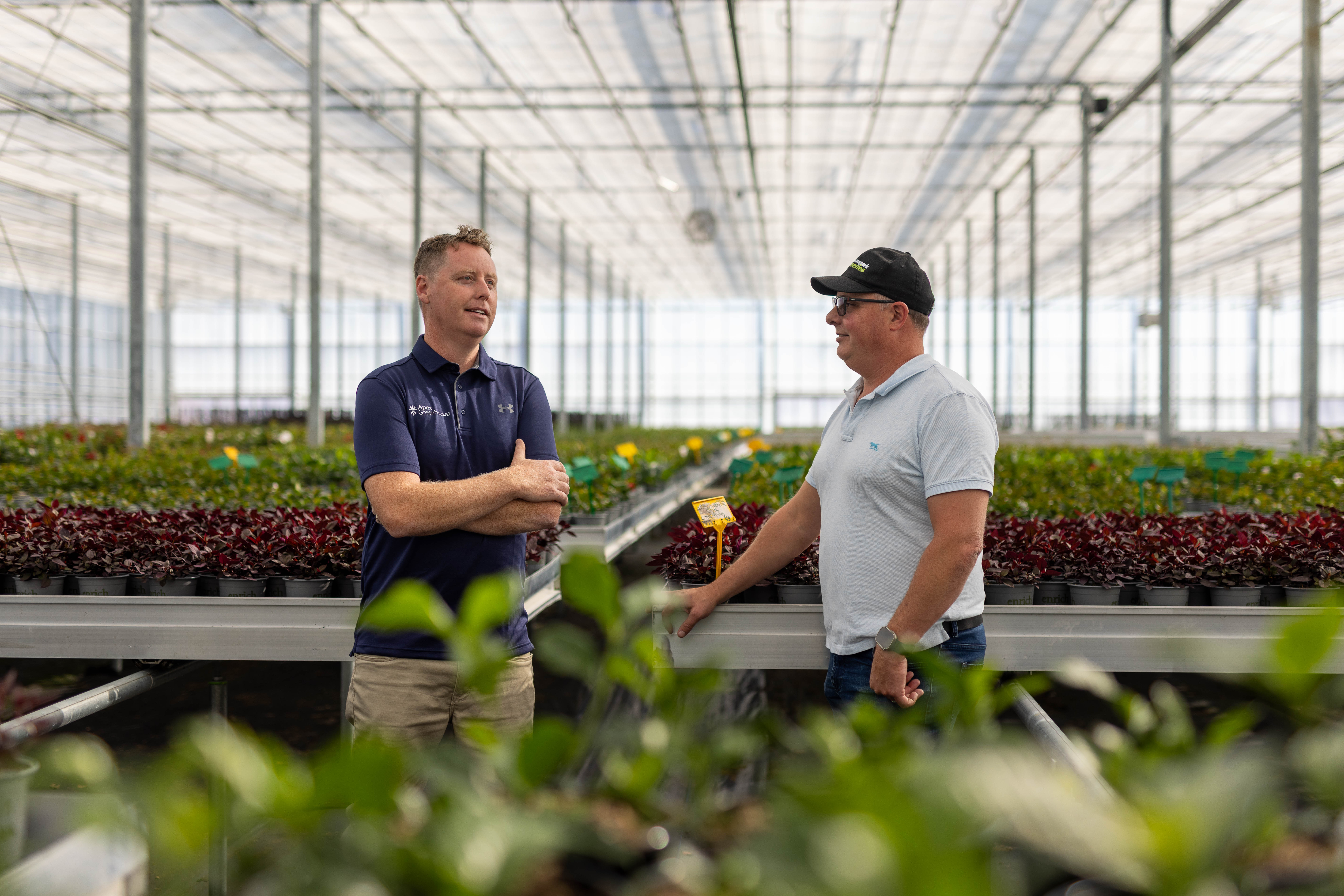 apex-greenhouses-james-nz